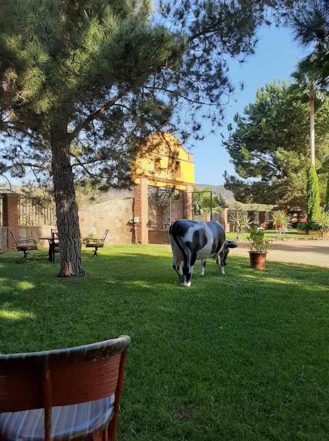 Hostel Rancho El Campanario En La Ruta Del Vino Valle de Guadalupe Exterior foto